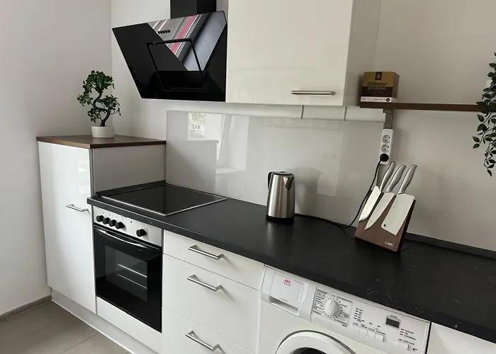 Charmante Zentrale 2 Raum Apartament Chemnitz